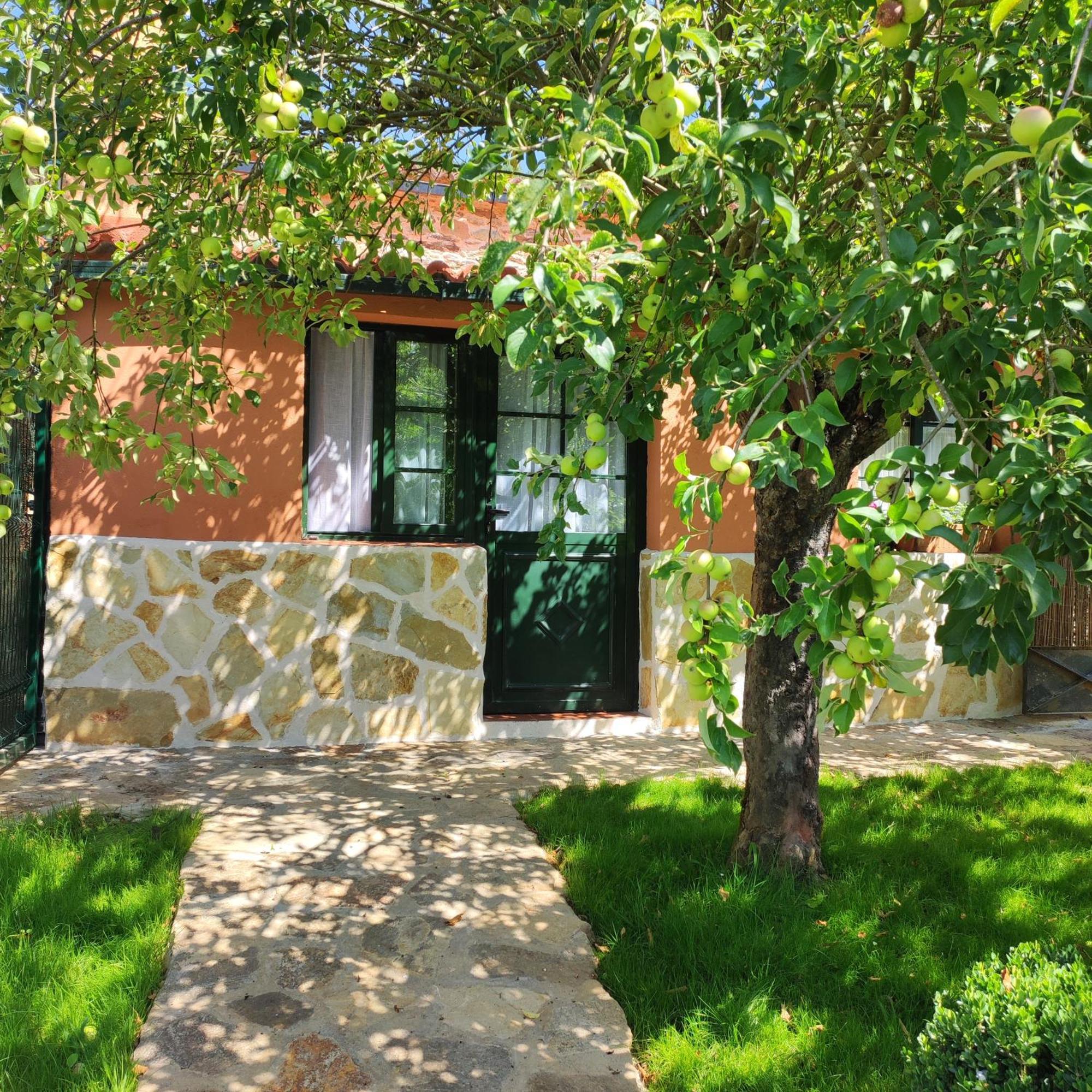 Casa Dos Cregos Appartement Bascuas Buitenkant foto